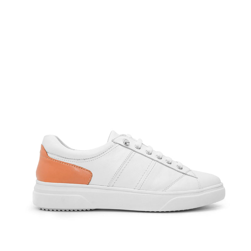FICA WHITE SALMON