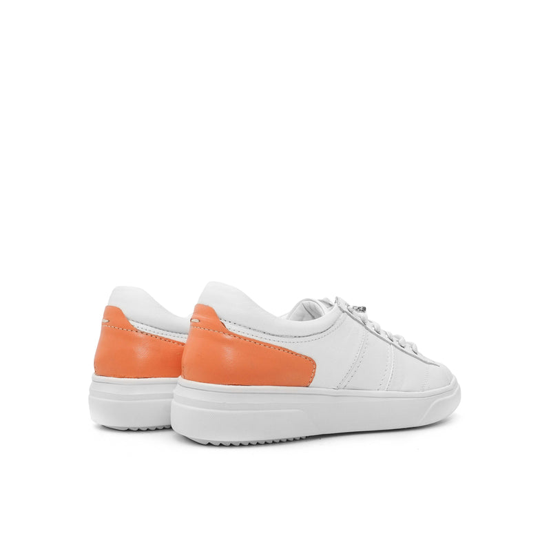 FICA WHITE SALMON