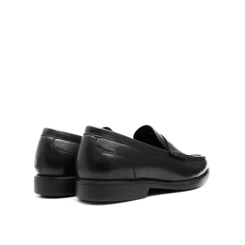 DUCCIO BLACK